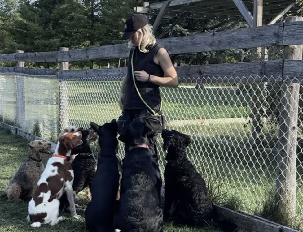 Screenshot 2025-10-10 at 2.12.50 PM